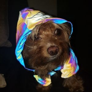 Rainbow Iridescent Reflective Rain Coat